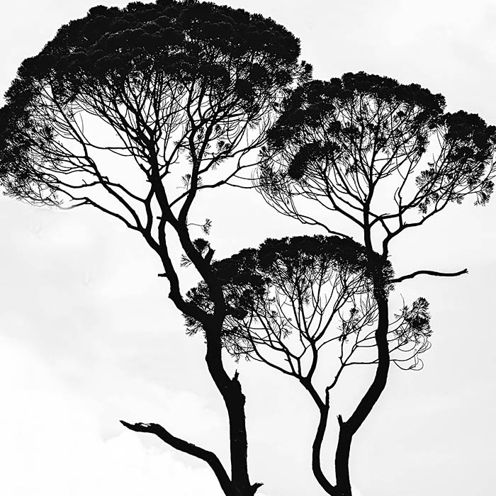 Portfolio image 1