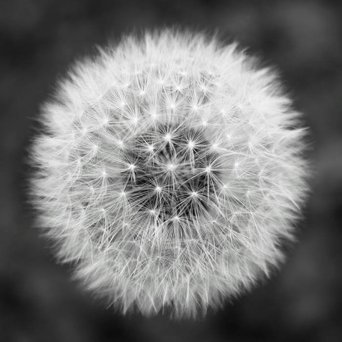 Portfolio image 1